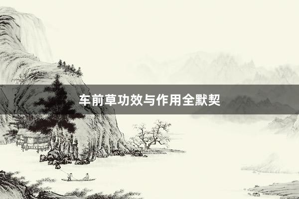 车前草功效与作用全默契